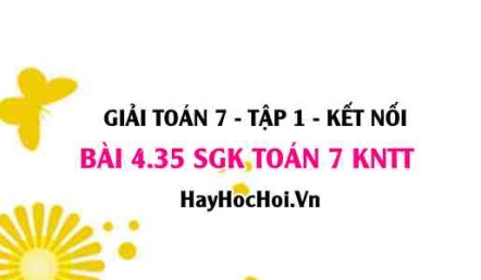 Bài 4.35 SGK Toán 7 tập 1 Kết nối tri thức